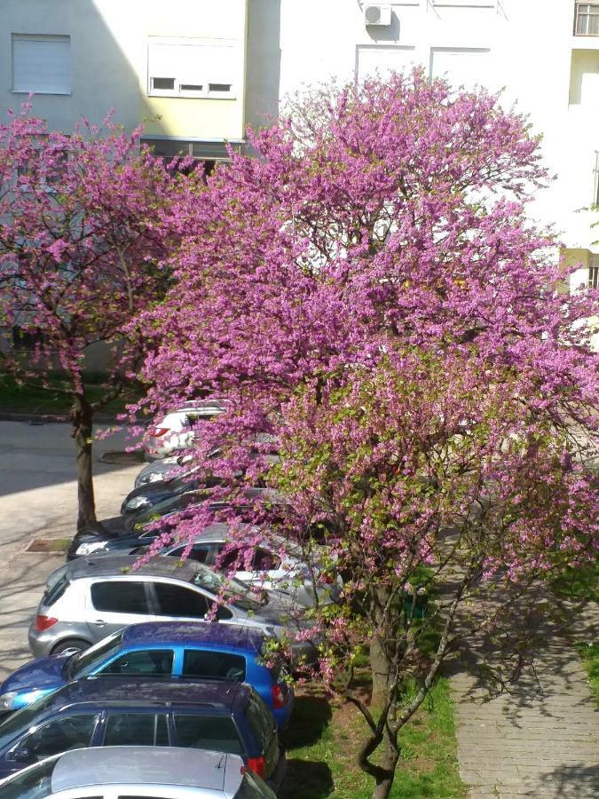 Apartman Simple Mostar Kültér fotó